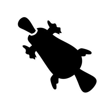 what are you looking for?