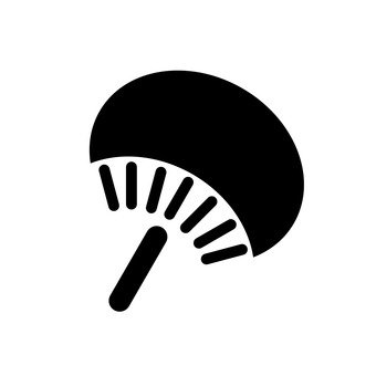 照片素材(图片): 团扇 喇叭花 喇叭花 夏天 花