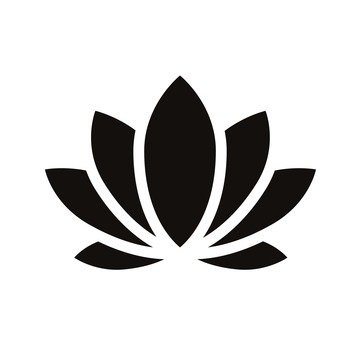 japanese paper background _ lotus