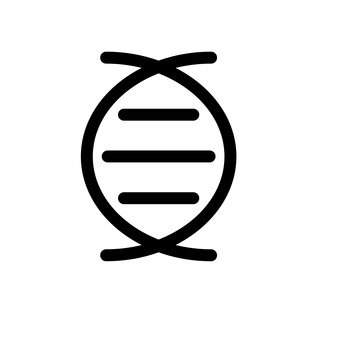 双螺旋