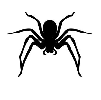 蜘蛛