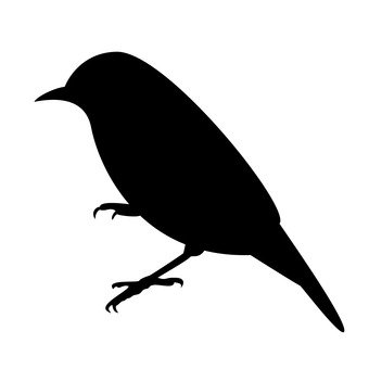 照片素材(图片): 麻将